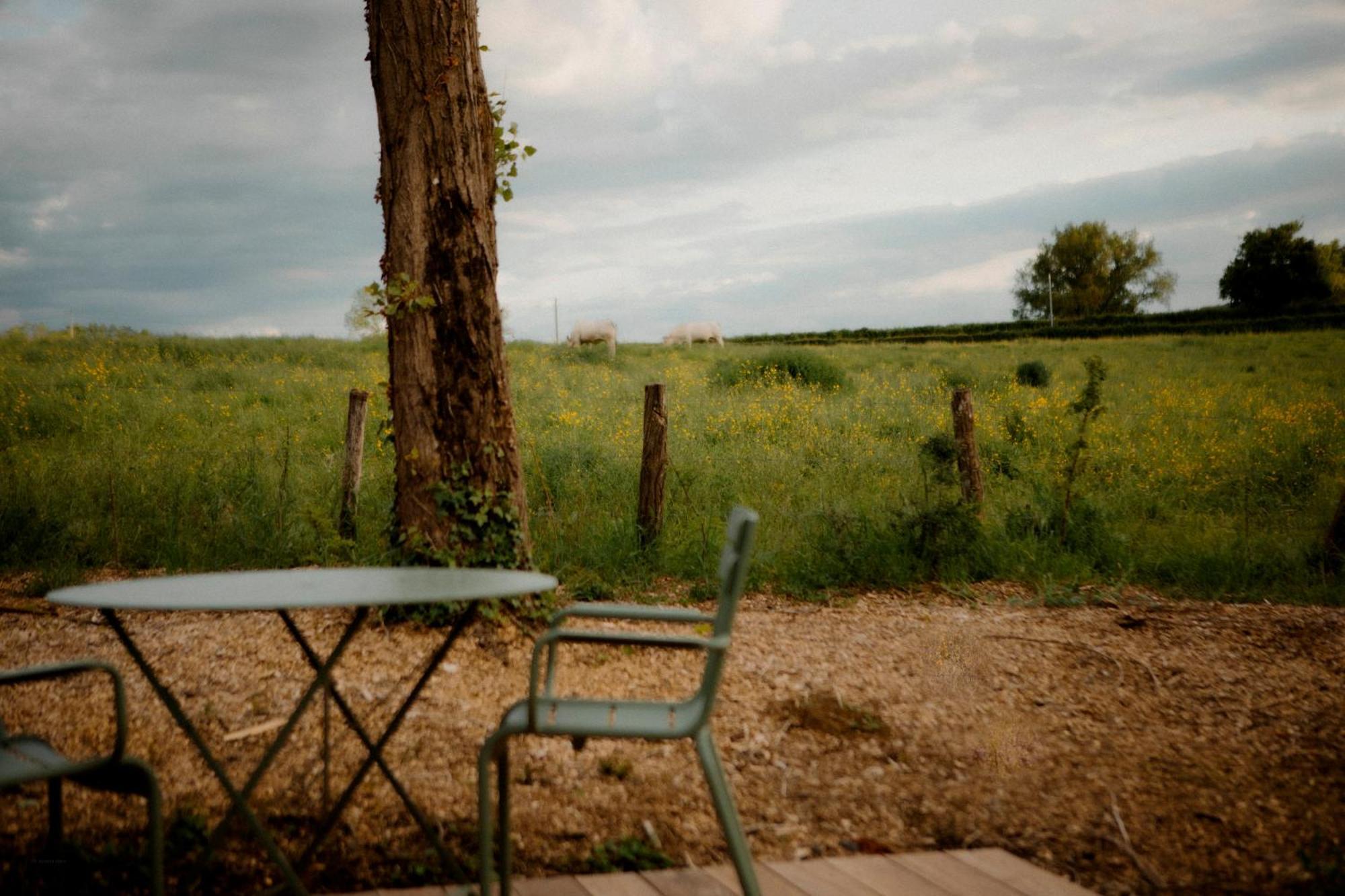La Suite Nature By Lumipod X Tomette Singuliere Chateau  Bagian luar foto